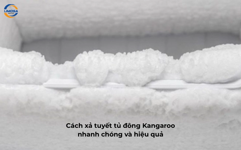 Bao lâu nên xả tuyết tủ đông Kangaroo?
