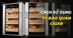 Cách sử dụng tủ bảo quản cigar