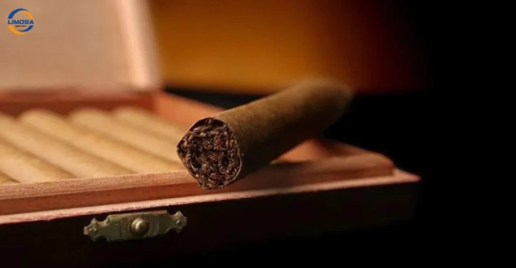 Lời khuyên khi chọn mua và đặt tủ bảo quản cigar