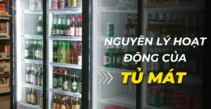 Nguyên lý hoạt động của tủ mát