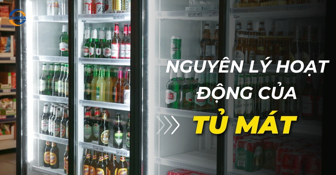 Nguyên lý hoạt động của tủ mát ra sao? Cách tủ mát vận hành Nguyên lý hoạt động của tủ mát