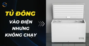Tủ đông vào điện nhưng không chạy