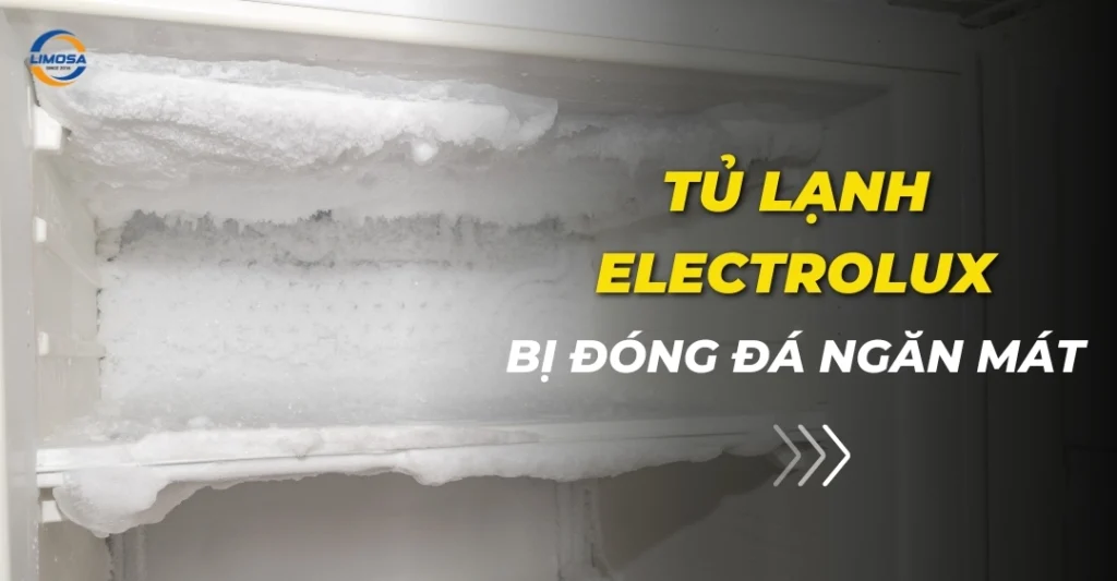 Tủ lạnh electrolux bị đóng đá ngăn mát