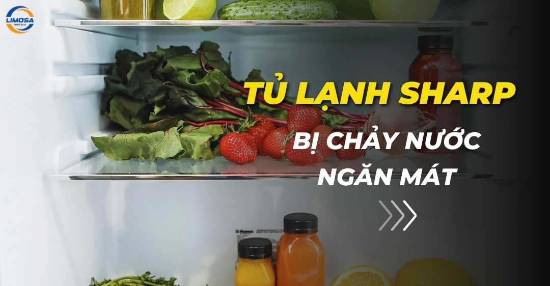 Tủ lạnh Sharp bị chảy nước ngăn mát? Nguyên nhân và xử lý Tủ lạnh Sharp bị chảy nước ngăn mát