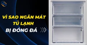 Vì sao ngăn mát tủ lạnh bị đóng đá