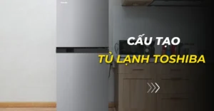 cấu tạo tủ lạnh toshiba