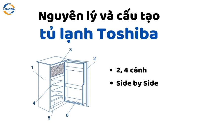 Phân tích chi tiết cấu tạo từng dòng sản phẩm