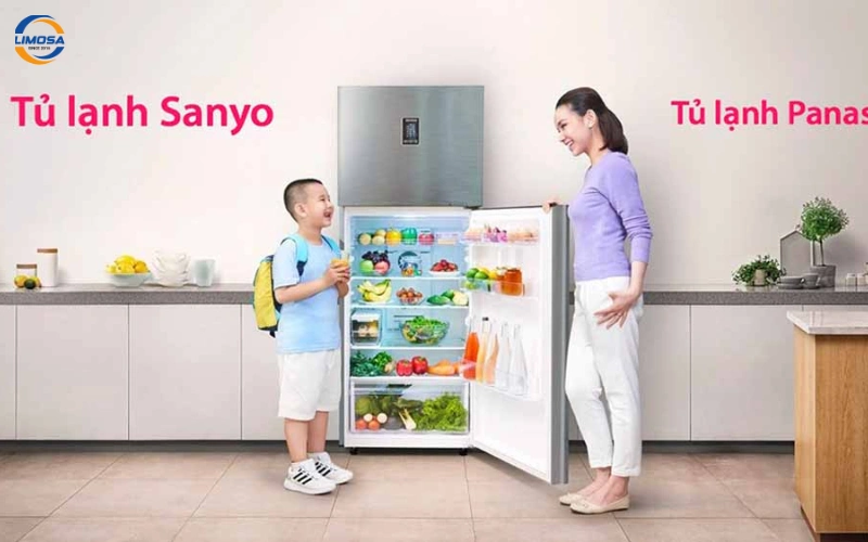 Giới thiệu tổng quan về Sanyo và Panasonic