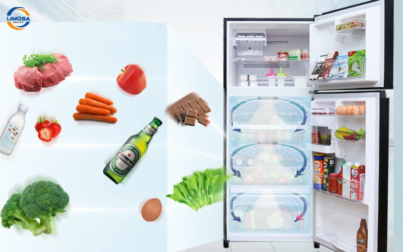 Mẹo Sử Dụng Và Bảo Quản Tủ Lạnh Toshiba GR TG41VPDZ Hiệu Quả