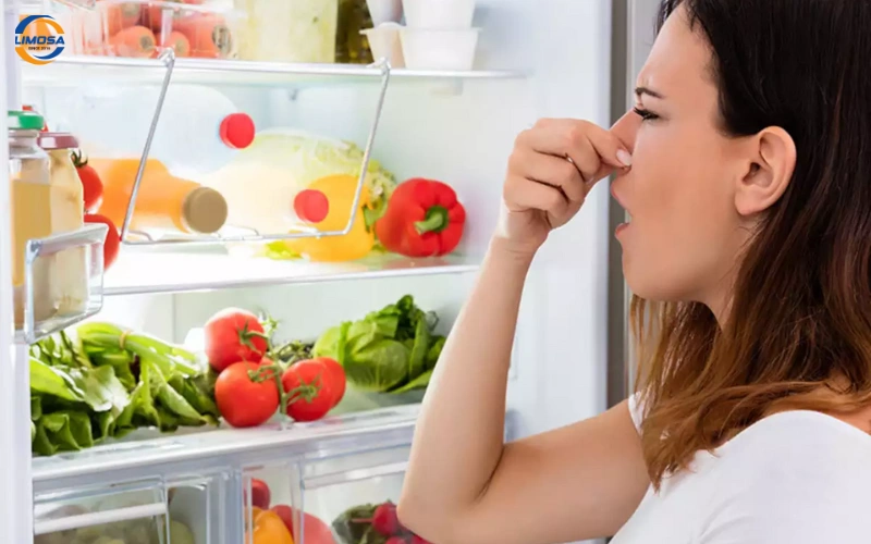 Lỗi tủ lạnh có mùi hôi