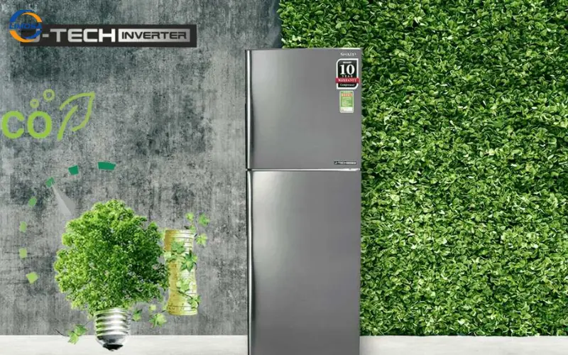 Một số lỗi thường gặp trên tủ lạnh Sharp và cách xử lý tại nhà