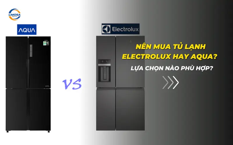 Nên mua tủ lạnh Electrolux hay Aqua? Lựa chọn nào phù hợp? Nên mua tủ lạnh Electrolux hay Aqua