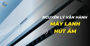 Nguyên lý vận hành máy lạnh hút ẩm