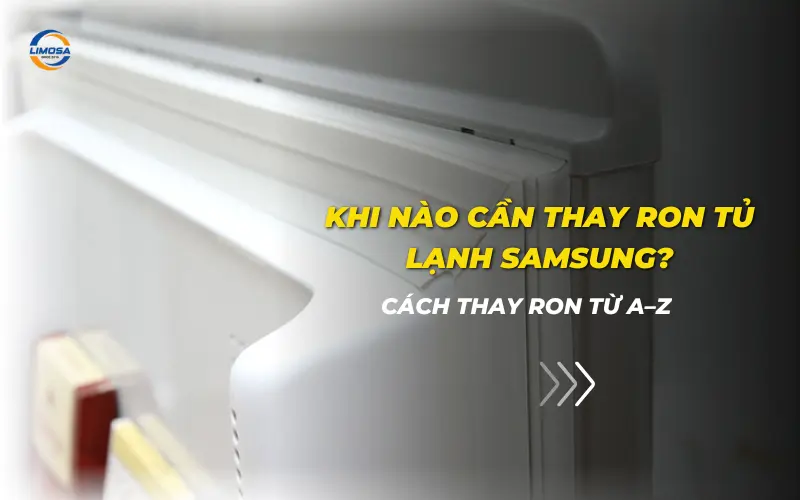 Thay ron tủ lạnh Samsung