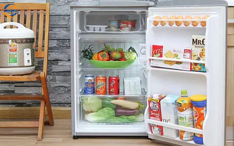 Câu hỏi thường gặp về Electrolux 92 lít EUM0900SA