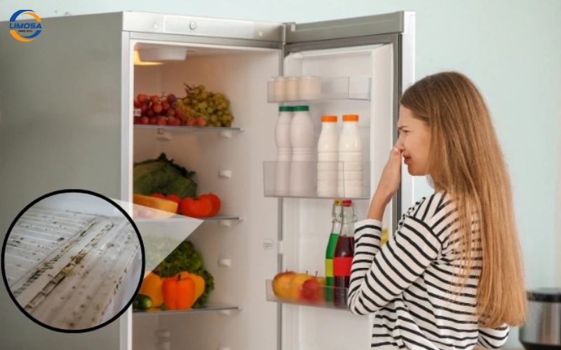 Dấu hiệu nhận biết tủ lạnh Toshiba inverter bị mất nguồn