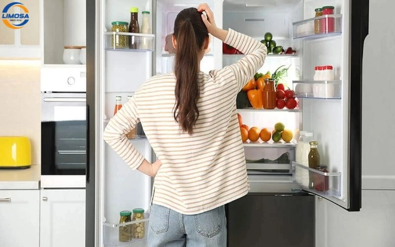 nguyên nhân phổ biến khiến tủ lạnh bị tắc bẩn