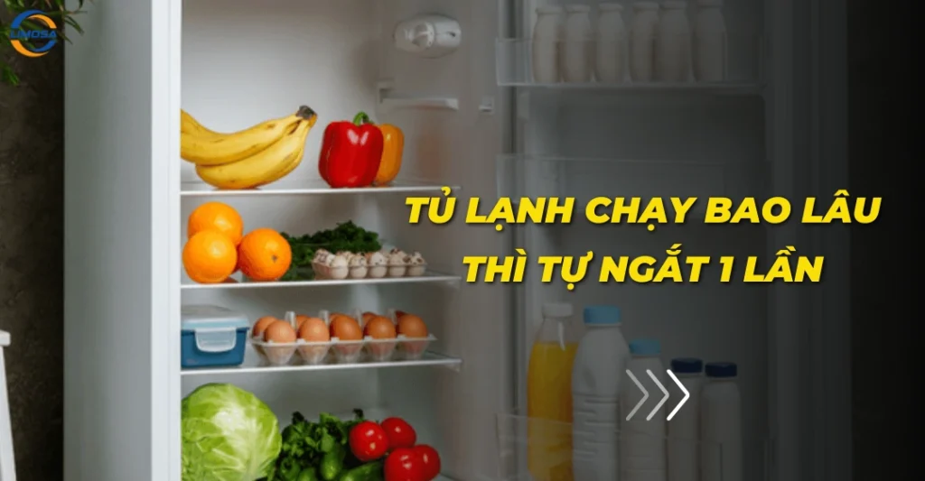 Tủ lạnh chạy bao lâu thì tự ngắt 1 lần