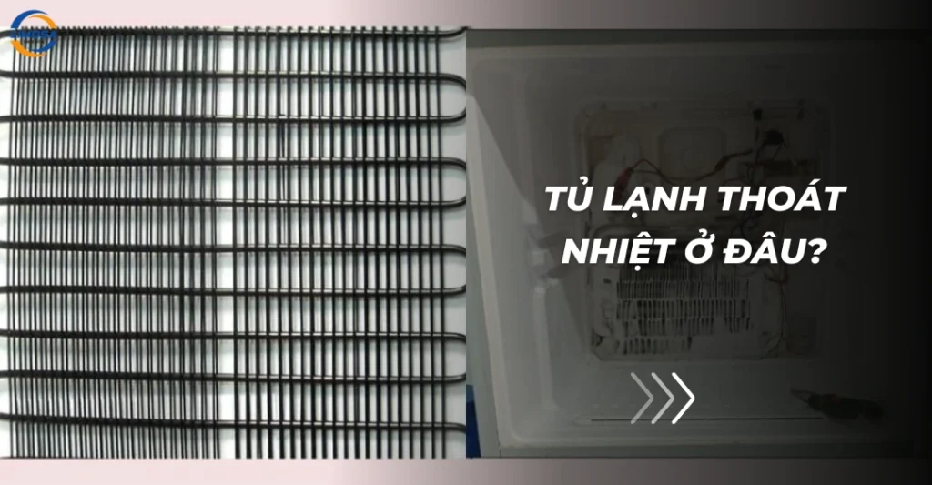 Tủ lạnh thoát nhiệt ở đâu