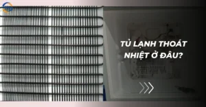 Tủ lạnh thoát nhiệt ở đâu
