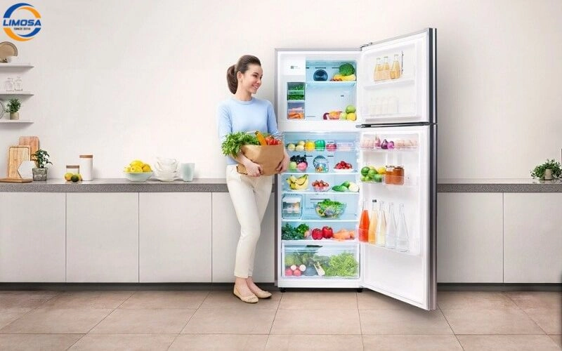 vấn đề tiết kiệm điện trong lựa chọn tủ lạnh hiện đại.