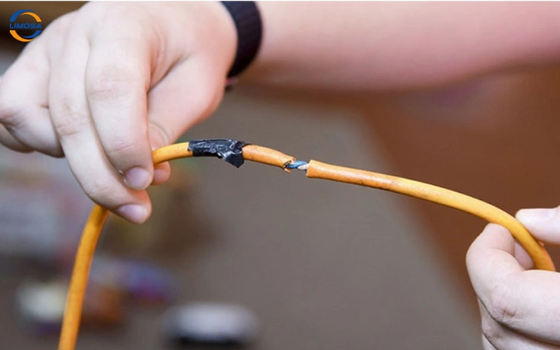 Vệ sinh bo mạch, kiểm tra độ ẩm và côn trùng