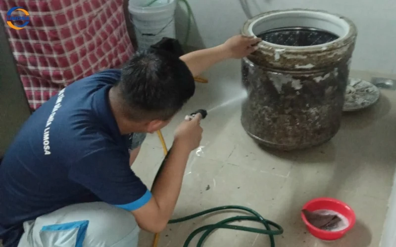 Thông tin liên hệ và đặt lịch dịch vụ tại Limosa