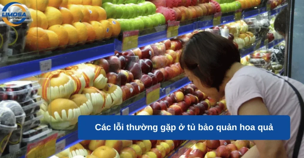 Các lỗi thường gặp ở tủ bảo quản hoa quả