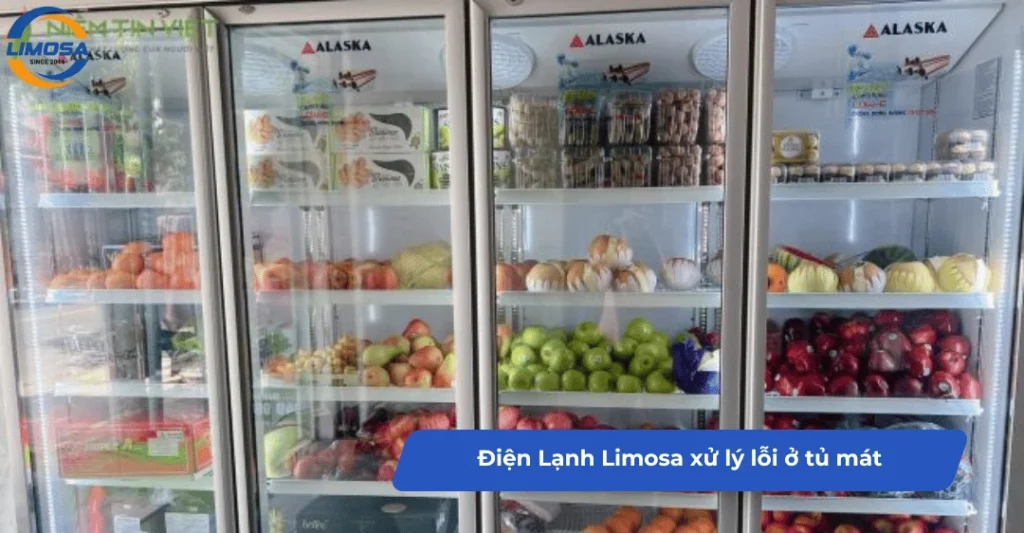 Điện Lạnh Limosa xử lý lỗi thường gặp ở tủ mát