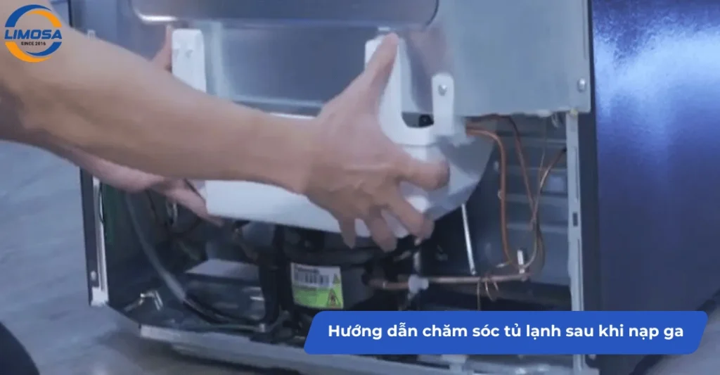 Hướng dẫn chăm sóc tủ lạnh sau khi nạp ga để tăng độ bền