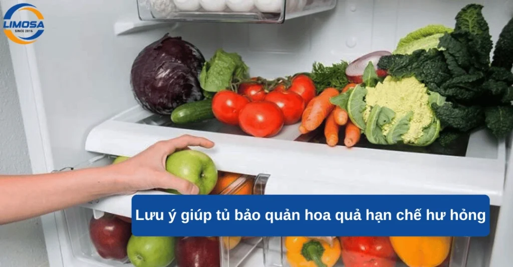 Lưu ý giúp tủ bảo quản hoa quả hạn chế hư hỏng