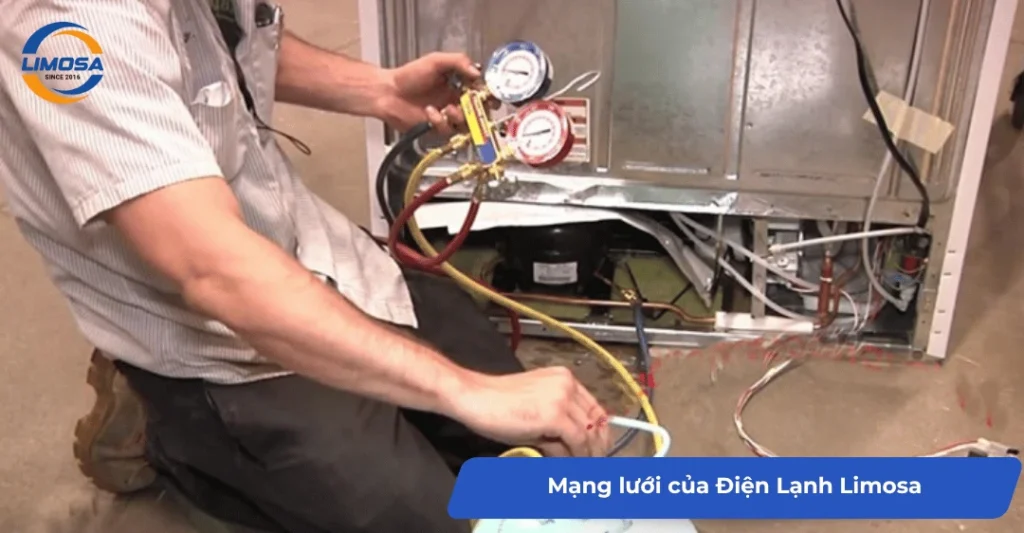 Mạng lưới của Điện Lạnh Limosa tại các phường quận 6