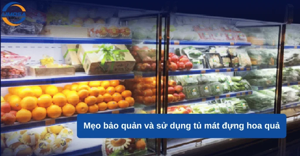 Mẹo bảo quản và sử dụng tủ mát đựng hoa quả