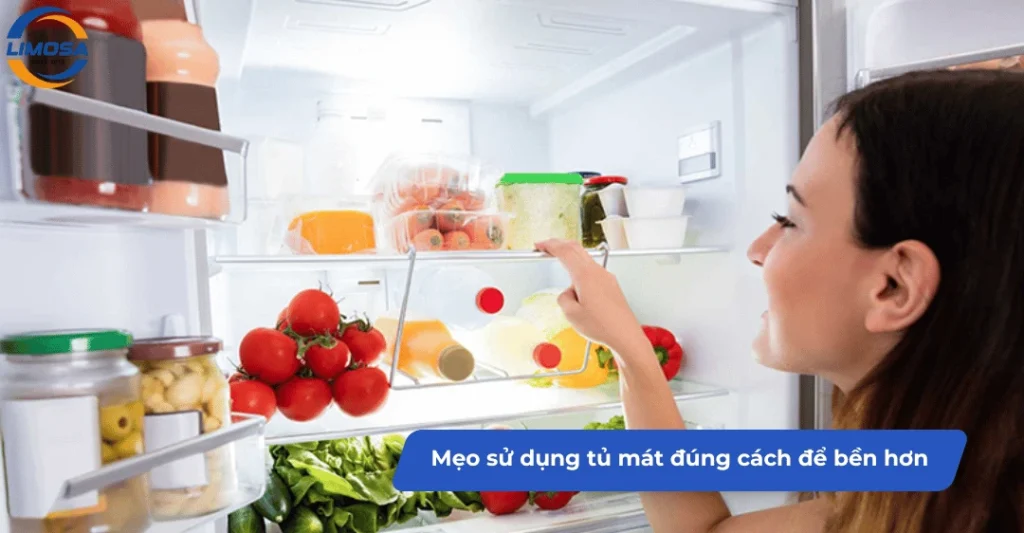 Mẹo sử dụng tủ mát đúng cách để bền hơn