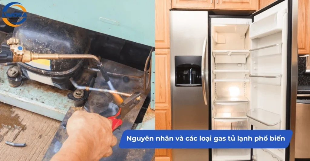 Nguyên nhân và các loại gas tủ lạnh phổ biến