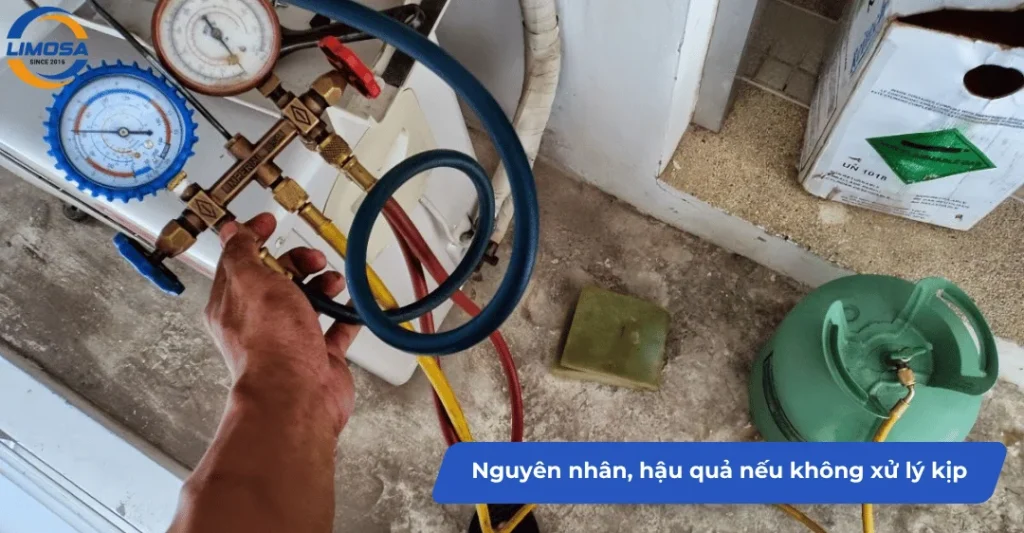 Nguyên nhân và hậu quả nếu không xử lý kịp thời