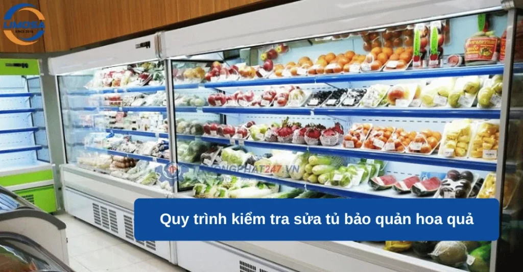 Quy trình kiểm tra và báo giá sửa tủ bảo quản hoa quả
