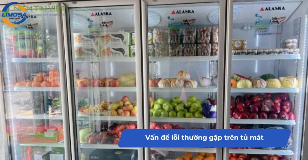 Vấn đề lỗi thường gặp trên tủ mát