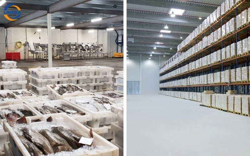 Các loại kho đông lạnh phổ biến hiện nay