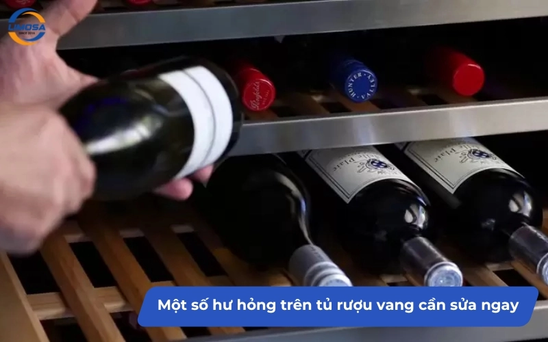 Một số hư hỏng trên tủ rượu vang cần sửa ngay