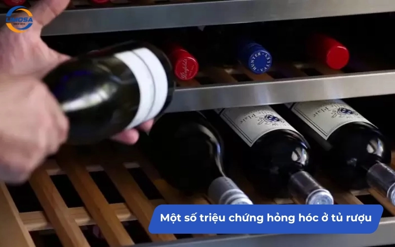 Một số triệu chứng hỏng hóc ở tủ rượu cần được kiểm tra sớm