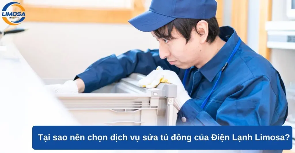Tại sao nên chọn dịch vụ sửa tủ đông của điện lạnh LIMOSA