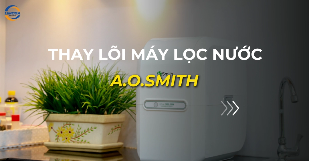 thay lõi máy lọc nước aosmith