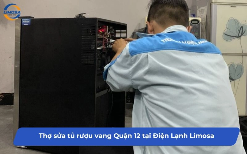 Những lý do nên chọn thợ sửa tủ rượu vang Quận 12 tại Limosa