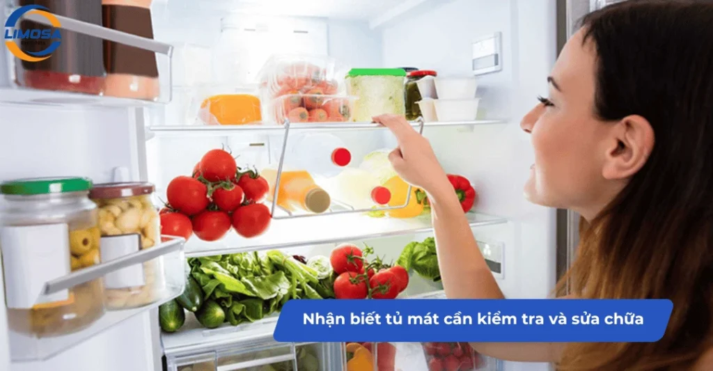 Dấu hiệu nhận biết tủ mát cần kiểm tra và sửa chữa