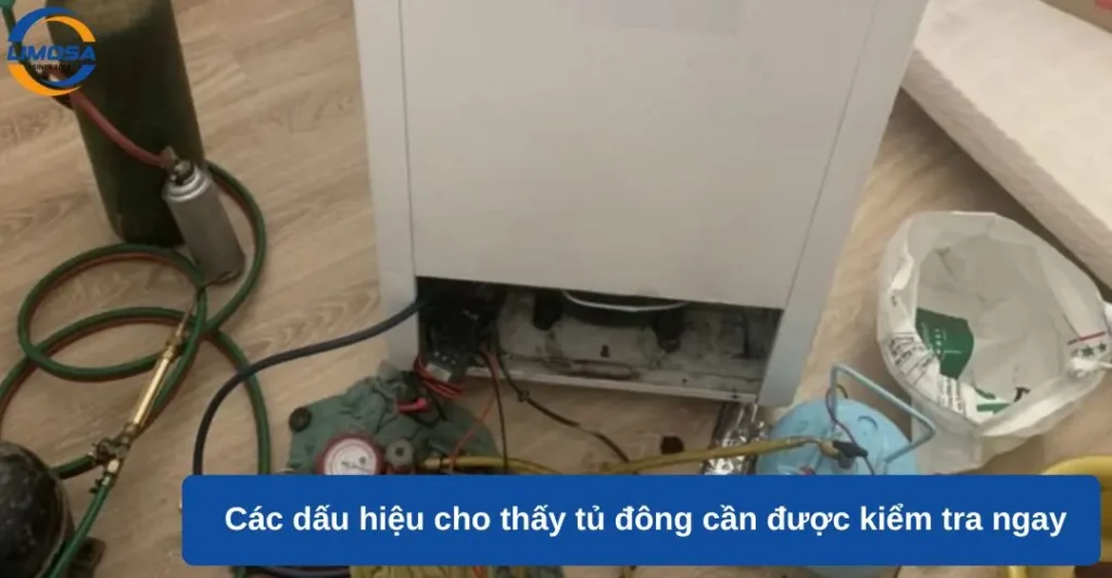 Các dấu hiệu cho thấy tủ đông cần được kiểm tra ngay