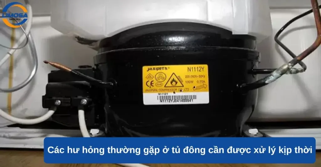 Các hư hỏng thường gặp ở tủ đông cần được xử lý kịp thời