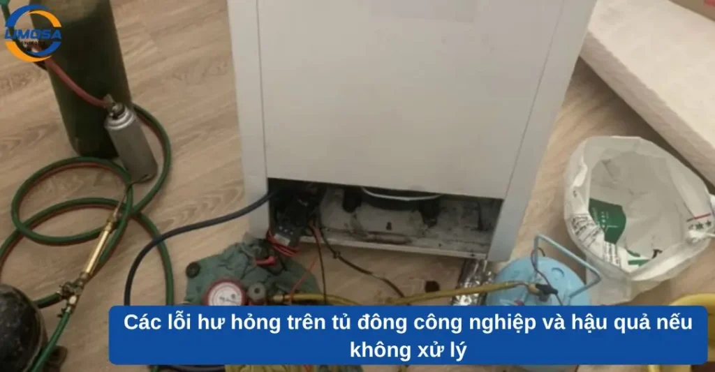 Các lỗi hư hỏng trên tủ đông công nghiệp và hậu quả nếu không xử lý