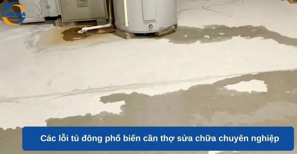 Các lỗi tủ đông phổ biến cần thợ sửa chữa chuyên nghiệp