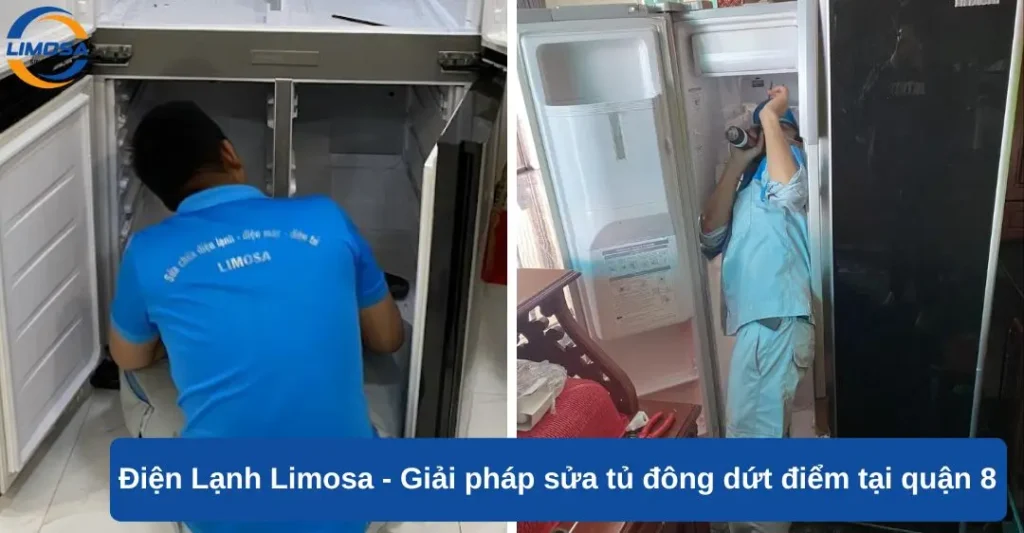 Điện lạnh Limosa - Giải pháp sửa tủ đông dứt điểm tại quận 8